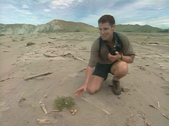 Thumbnail image for Park Rangers - First Episode