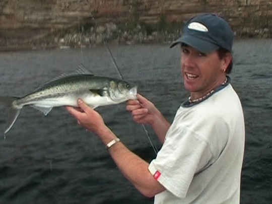 Thumbnail image for The ITM Fishing Show - First Episode